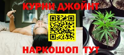 сатива Боровичи