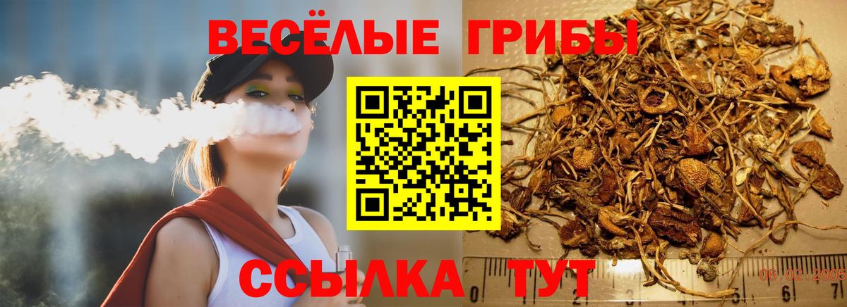 Гатчина  Псилоцибиновые грибы MAGIC MUSHROOMS  Вход с VPN 