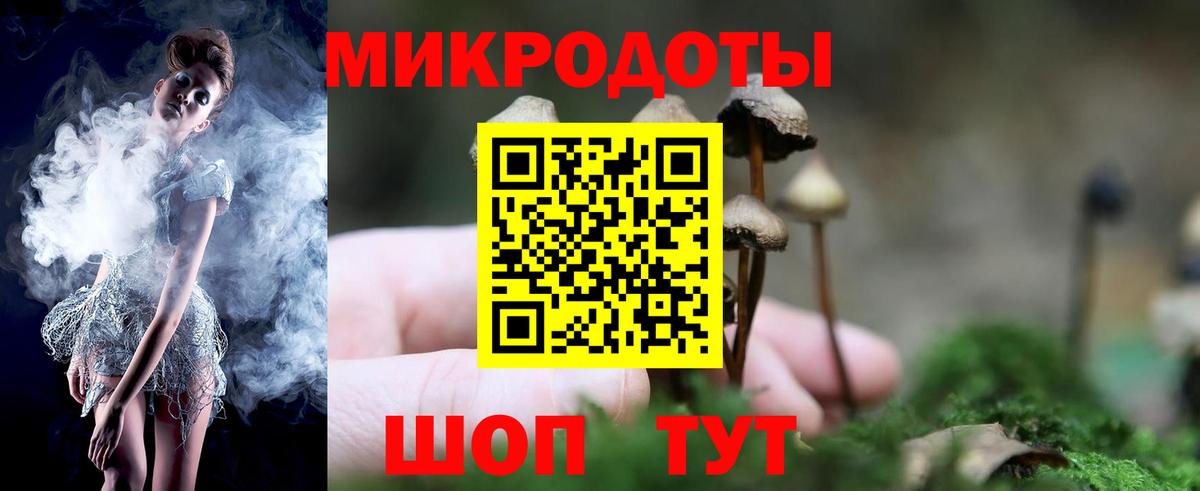 Псилоцибиновые грибы мухоморы Гатчина